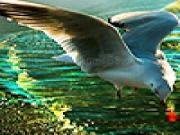 Play Seagulls in the ocean puzzle
