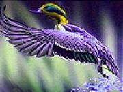 Play Duck splash slide puzzle