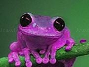 Play Purple acrobat frog slide puzzle