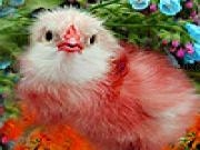 Play Red chick in garden puzzle