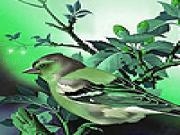 Play Alone sparrow puzzle