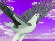 Play Flying albatross puzzle