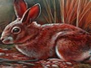Play Red tame rabbits puzzle