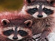 Play Raccoon brothers puzzle