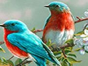 Play Colorful brooding birds puzzle