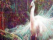 Play White beauty slide puzzle