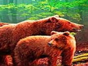 Play Hungry grizzly bears puzzle