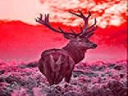 Play Deer in the sunrise slide puzzle