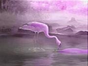 Spielen Thirsty flamingo slide puzzle