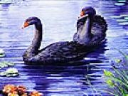 Play Black swans and river slide puzzle