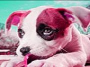 Spielen Summer garden dogs puzzle