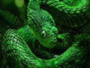 Play Green copperhead puzzle