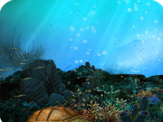 Play Inhabitants of the harbor