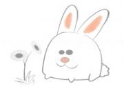 Play My dear rabbit