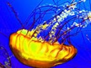 Play Ocean jellyfish puzzle