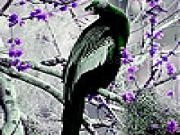 Play Purple sakura and bird slide puzzle