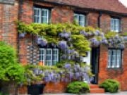 Play Jigsaw: wisteria covered house