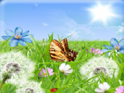 Play Spring colors find numbers