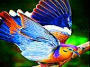 Play Colored wings slide puzzle