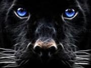 Jugar a Blue eyed cat slide puzzle