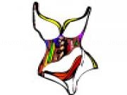 Play High fashion swim suit coloring page
