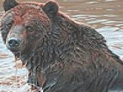 Play Dun bear in the lake puzzle