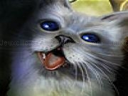 Play Lonely domestic cat slide puzzle