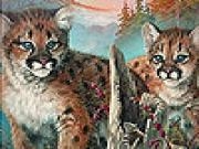 Play Naughty tigers in the woods slide puzzle