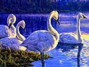 Play Blue lake and swans slide puzzle