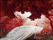 Play Fabulous peacock slide puzzle