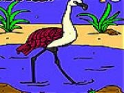 Play Flamingo in the river coloring