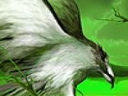 Play Flying large wing puzzle