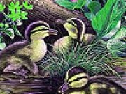 Play Little ducks in the river puzzle