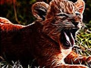 Play Crazy tiger slide puzzle