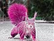 Jugar a Pink field squirrel slide puzzle