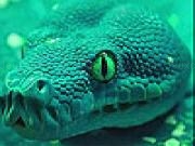 Play Angry green snake slide puzzle