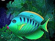 Play Red lipped sea fish slide puzzle