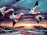 Spielen Flying birds at night slide puzzle