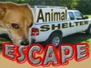 Play Animal shelter escape