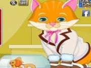 Jugar a Cat funny dress up