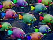 Jugar a Rainbow fishes puzzle