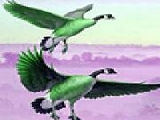 Play Geese in the winter puzzle