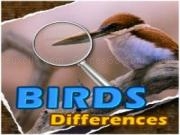 Play Castles differences