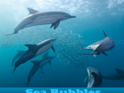 Play Sea bubbles 5 differences