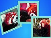 Play Red pandas in winter puzzle