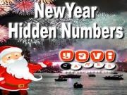 Play New year hidden numbers