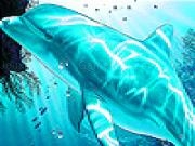 Jugar a Green dolphin puzzle