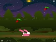 Play Madpet skyjumper
