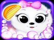 Play Pet spa salon north pole