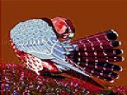Play Alone mountain partridge slide puzzle